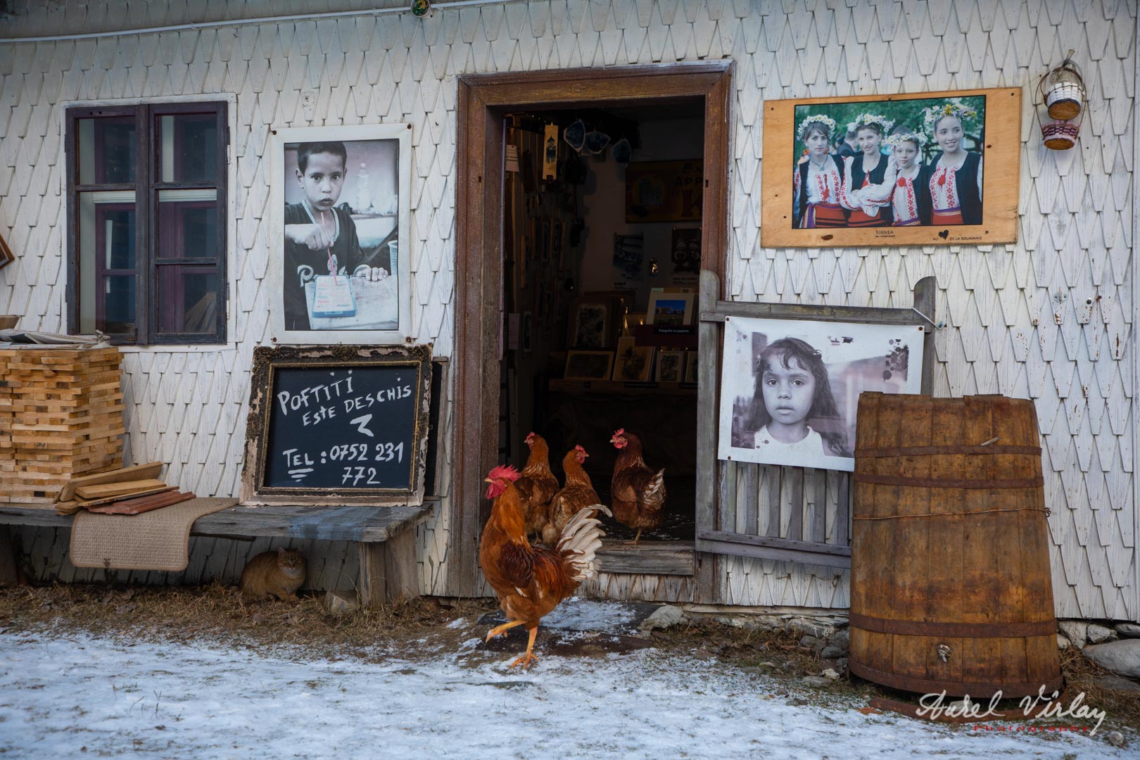 Cocosul și găinile vin la cabana cu imagini ca la atelierul de altădată (al bunicului soției).